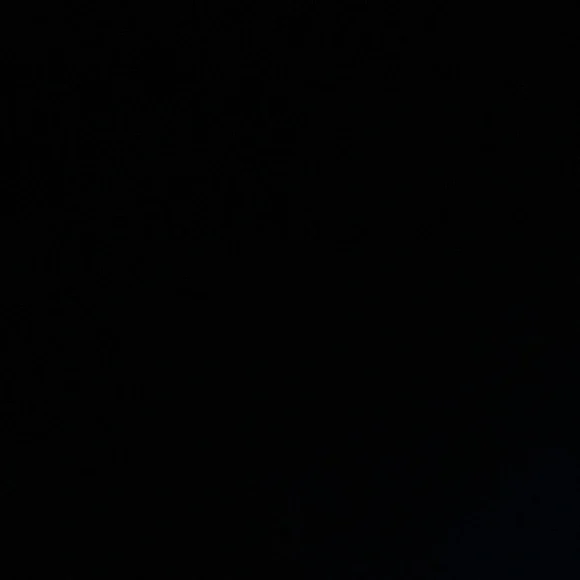 IGNORE - Picture 1 of 1